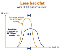 Less back fat